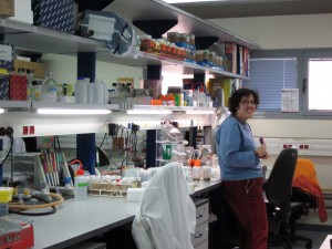 Doreen in the lab, 2012